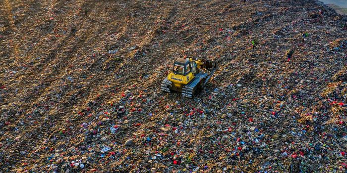 Using Food Waste To Make Rechargeable Batteries