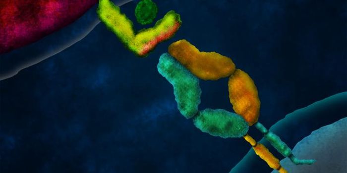 Genetically Engineered T Cell Armies to Fight Cancer