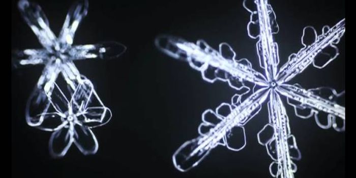 Six-sided snowflakes bloom in slow motion