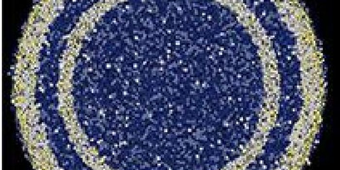 Transcriptional Waves Determine Neuronal Differentiation