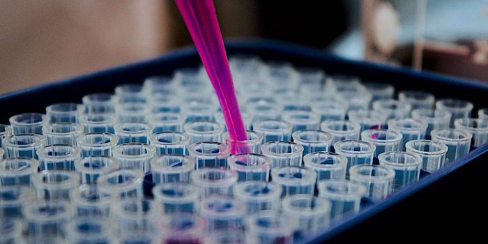 Shortcuts in Drug Development may Cause Long Term Damage