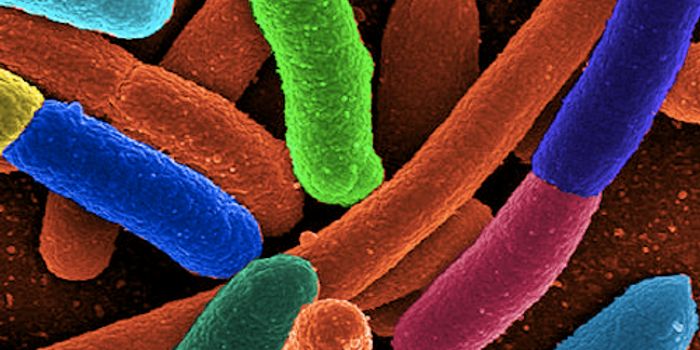 Synthetic Enzymes Created That Function in Cells