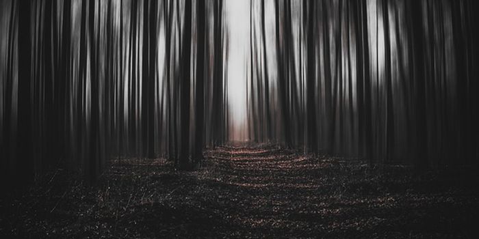 Fear, Stress, and Immune System Linked
