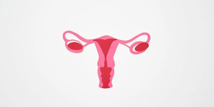 Long-Acting Reversible Contraception Highlighted by The Journal of the American Medical Association