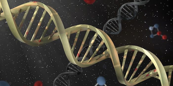 CRISPR-SNP Chip Finds Point Mutations in DNA Without PCR