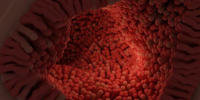 Blissful Bugs: Probiotics Show Promise in Easing Depression and Now Anxiety