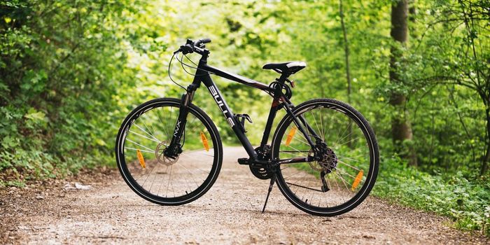 Vigorous Exercise Boosts Cognition in Young Adults