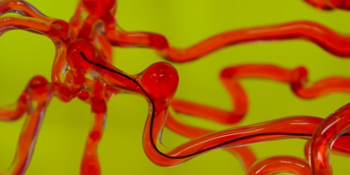 Robotic Thread Can Slip Through The Brains Blood Vessels