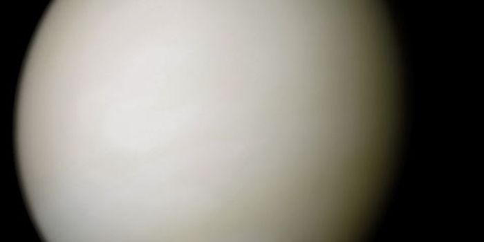 Cloud Activity on Venus' Night Side Baffles Astronomers