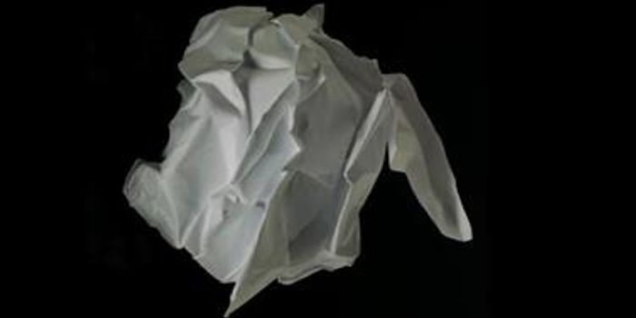 Unusual Physical Property of Stem Cell Nuclei 