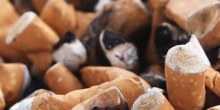 Calculate Your Risk For Lung Cancer