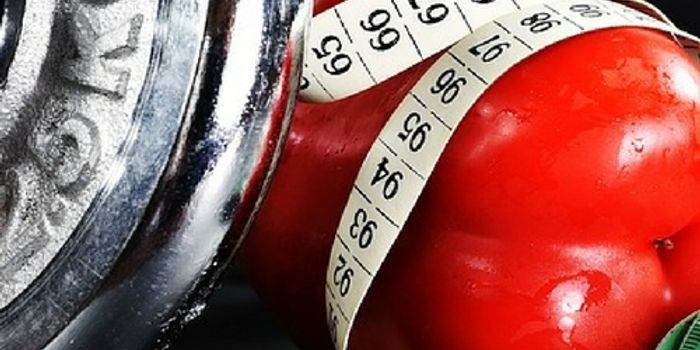 Skip the Bread or Skip the Butter: Low Fat  vs. Low Carb