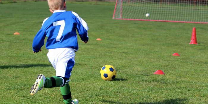 Researchers Find Gene Expression Differences in ADHD Brains