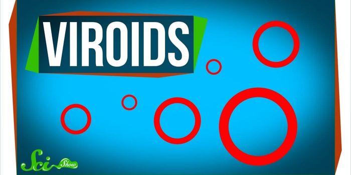 Viroids: The World's Smallest Pathogens