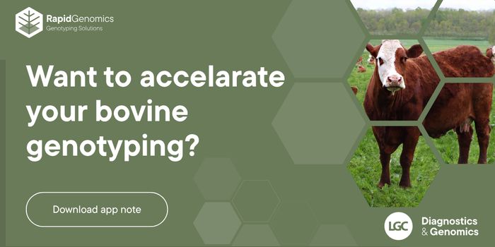 Faster, simpler bovine genotyping with high-quality results from a single workflow