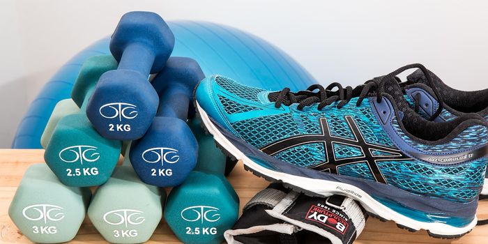 Exercise Improves Anticancer Immunity Through Gut Microbes