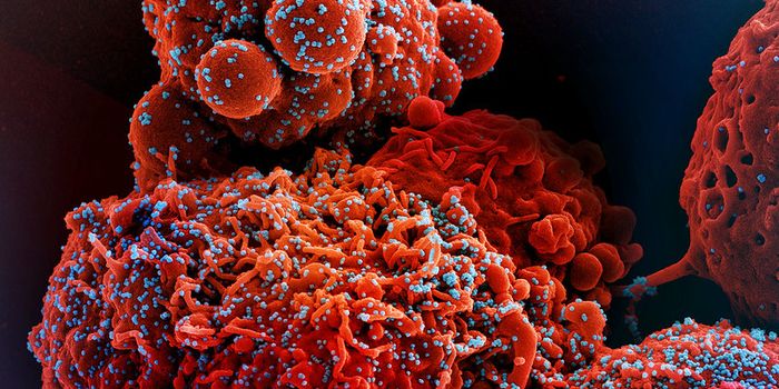 A New COVID-19 Subvariant is Spreading