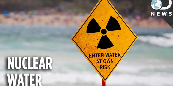 The Ocean is Teeming With Uranium That Could Be Put to Good Use