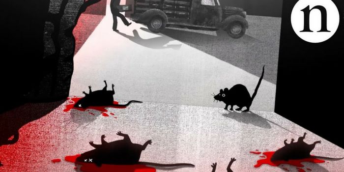 The History of Warfarin