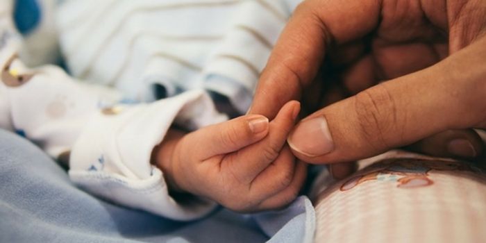 Are Newborns  Suffering Brain Damage from Anesthesia?