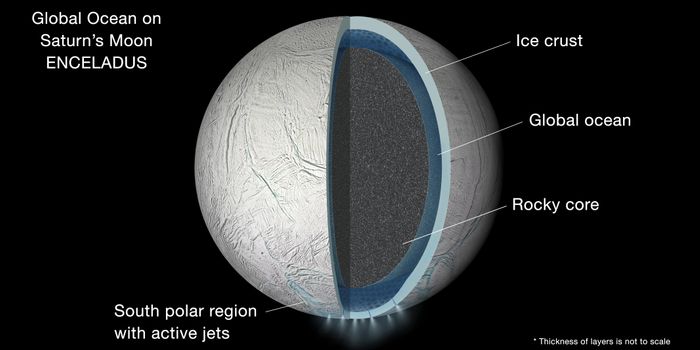 Fresh Ocean Spray From Enceladus Reveals Complex Organics