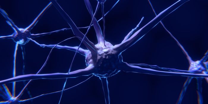 Using Natural Sugars to Label & Trace Stem Cells