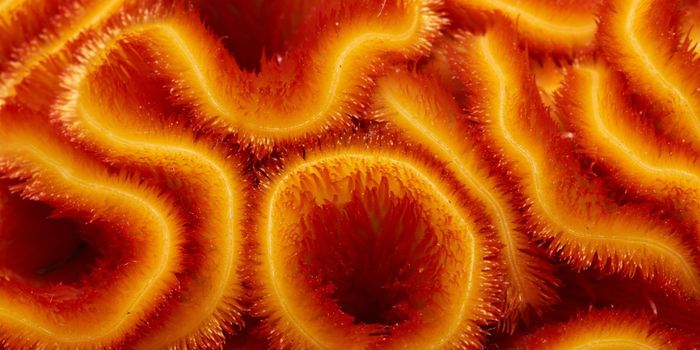 Do Brain Training Games Really Work?