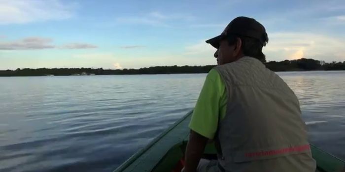 Amazing Amazon Facts