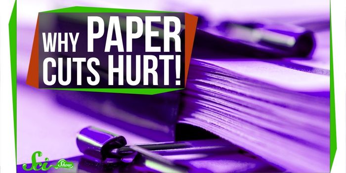 Why Paper Cuts Inflict More Pain than Bigger Cuts