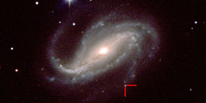 Lucky Amateur Astronomer Unexpectedly Photographs a Supernova's First Light