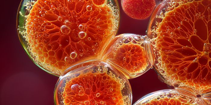 Novel Molecular Trigger Initiates Innate Immunity