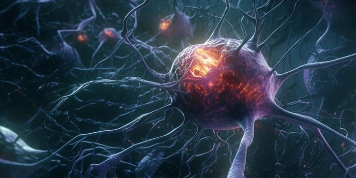 Specialized Brain Cells Found to Drive Multiple Sclerosis