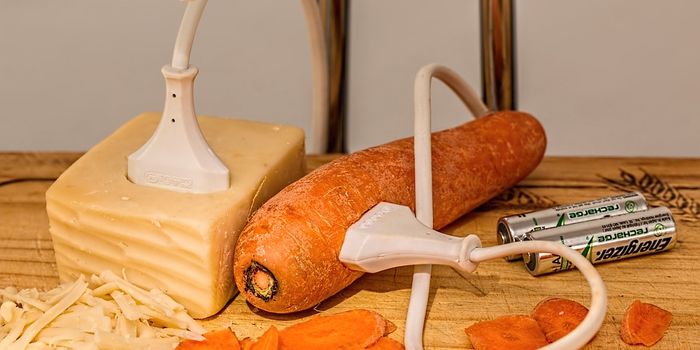 Getting closer to efficient and affordable biofuels