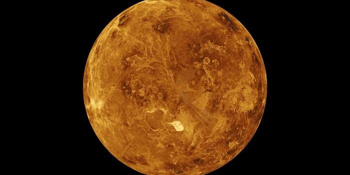 Venus' Surprising History: Early Tectonics and Possible Traces of Life