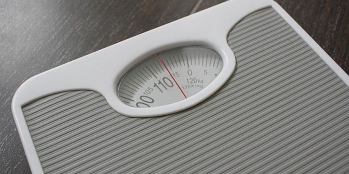Diet, Not a Lack of Exercise, Drives Obesity