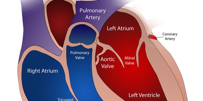 Having Heart Valve Issues?