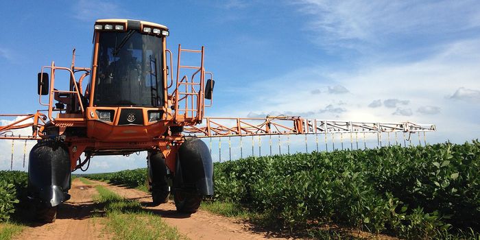 Pesticides Plague Great Barrier Reef Waterways