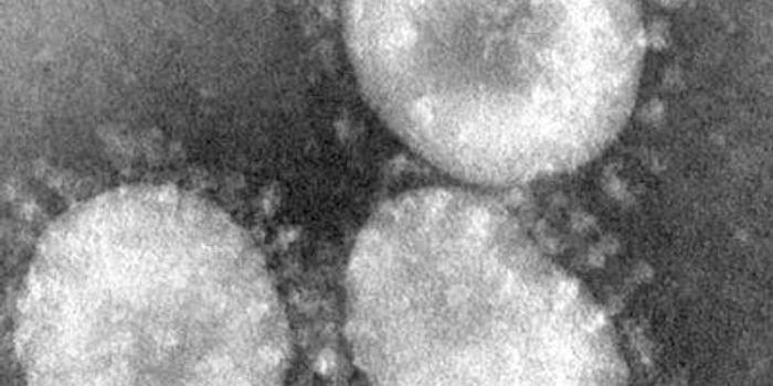 Social Contact Frequency and the Spread of Epidemics