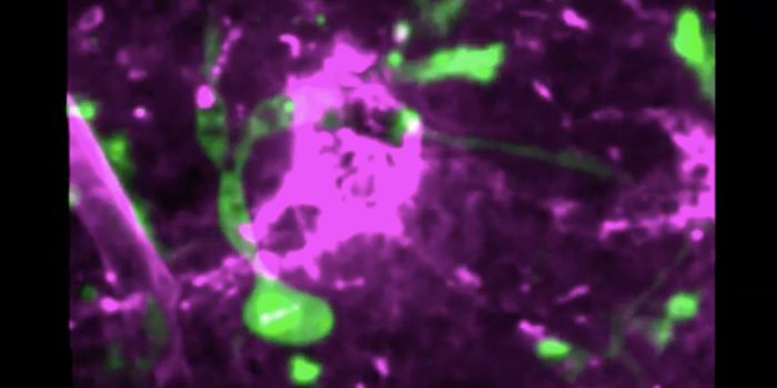 Can Some Brain Plasticity Be Restored with Ketamine or Light?