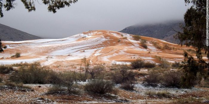 Snow Falls in the Sahara Desert for the First Time in 37 Years
