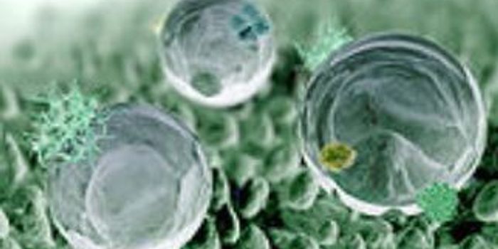 Smoother Flow Via Superhydrophobic Rough Surfaces