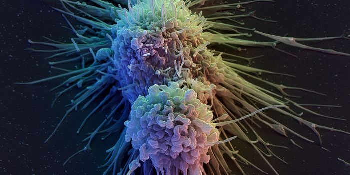 Programming T Cells to "Live Long and Prosper"