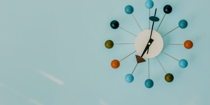 From Order to Disorder: The Function of the Arrow of Time