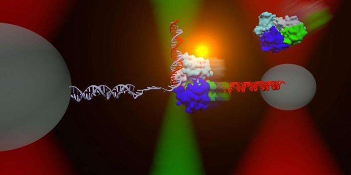 New lab technique reveals structure and function of proteins critical in DNA repair