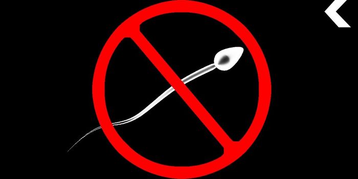 Men: Your Sperm Counts Might Be Dropping