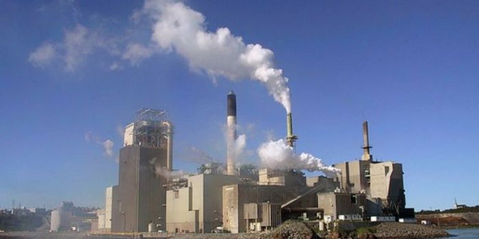 Pollution Finds Its Way to the Brain