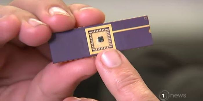 A Nanochip That Functions Like the Brain