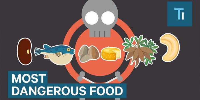 6 Deadly Foods For the Culinary Daredevil