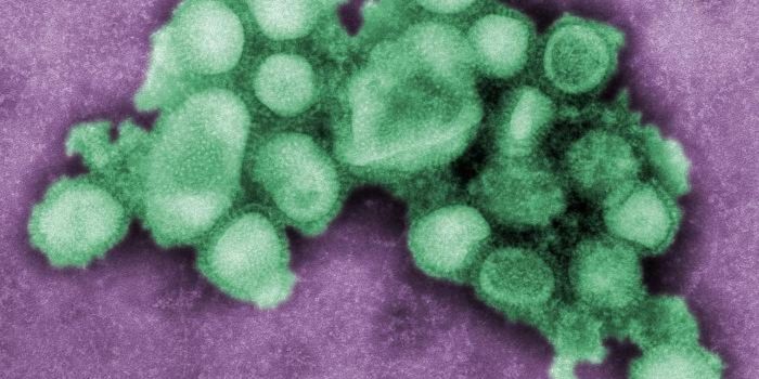 What Happens When Two Viruses Infect the Same Cell?