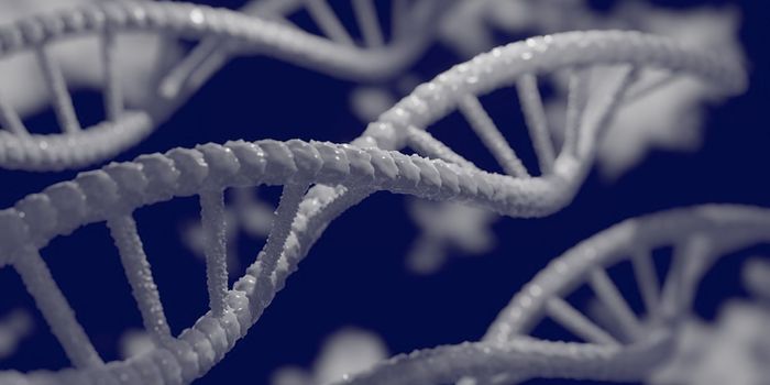 A Region of Non-Coding DNA That May Help Regulate Telomere Length is ID'ed